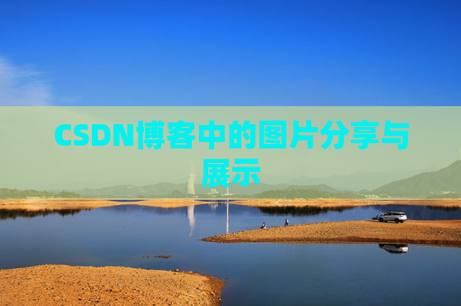 CSDN博客中的图片分享与展示